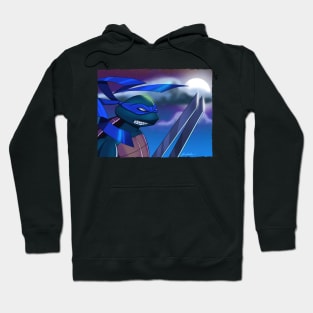 Teenage Mutant Ninja Turtles TMNT Leonardo Hoodie